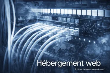 Hébergeur Windows vs Linux